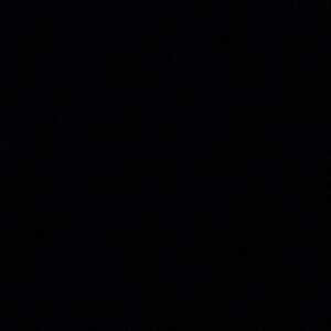 Meet your Posher, Willie